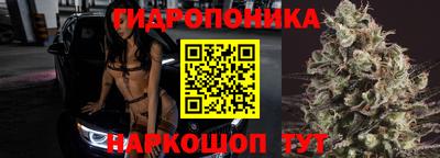 МДПВ Можга
