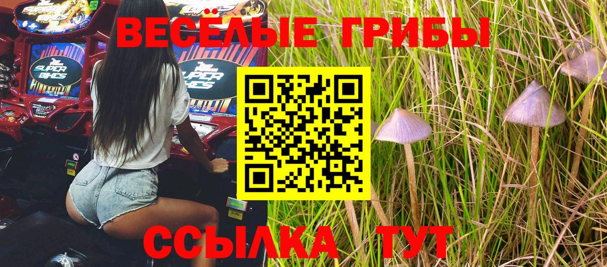 Сочи  Псилоцибиновые грибы Psilocybine cubensis  Вход с VPN 