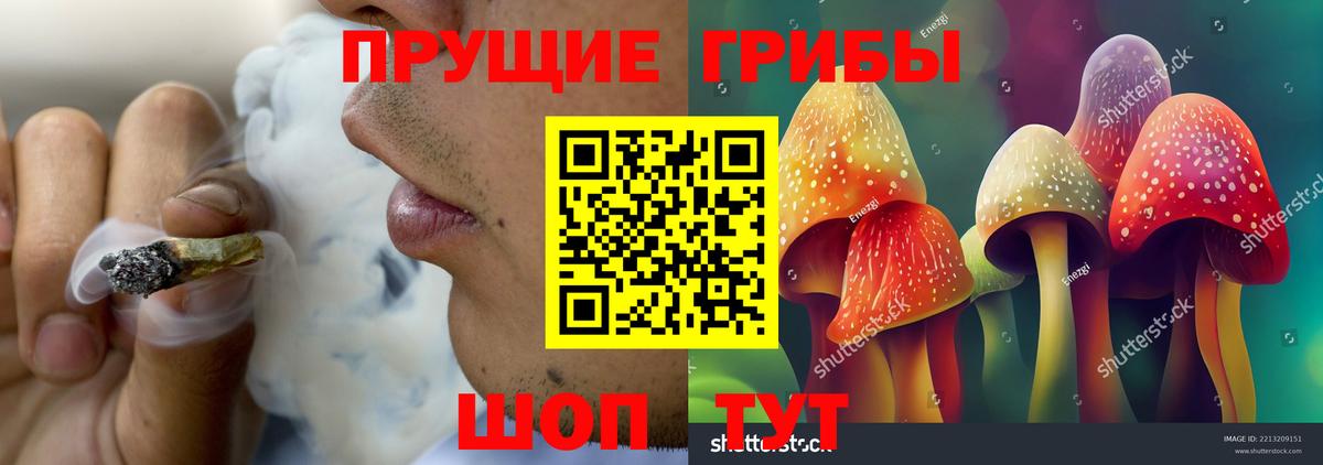 Псилоцибиновые грибы прущие грибы Сочи